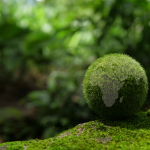 uk-switches-on-first-geothermal-power-plant