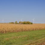 clean-energy-defies-trump’s-rollback-push