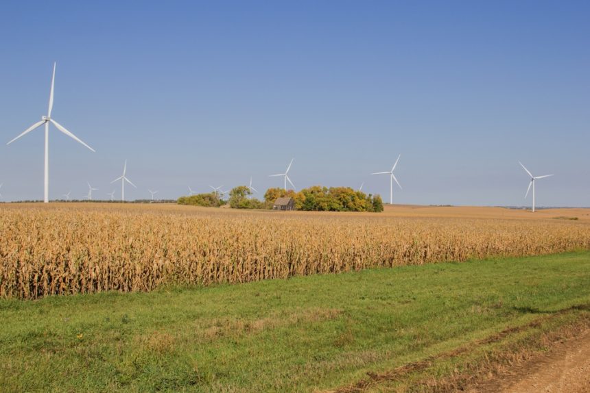 clean-energy-defies-trump’s-rollback-push